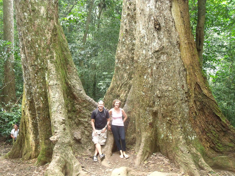 Cuc Phuong Named “Asia’s Leading National Park” for Fifth Consecutive Year