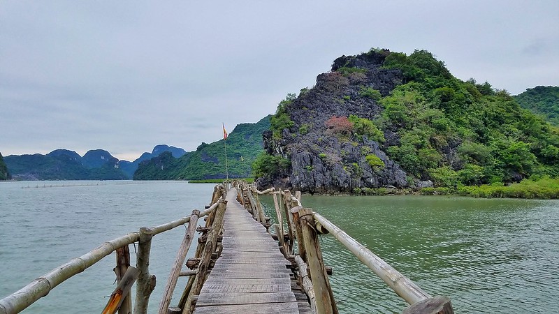 Ha Long Bay vs. Cat Ba Island: Which Vietnam Destination is Right for You?