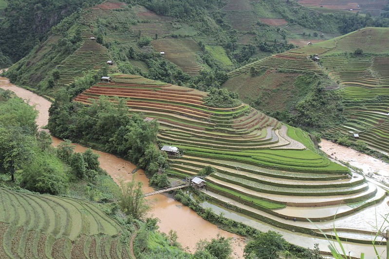 Vietnam’s Rice Terraces: Stunning Landscapes of the Northern Highlands