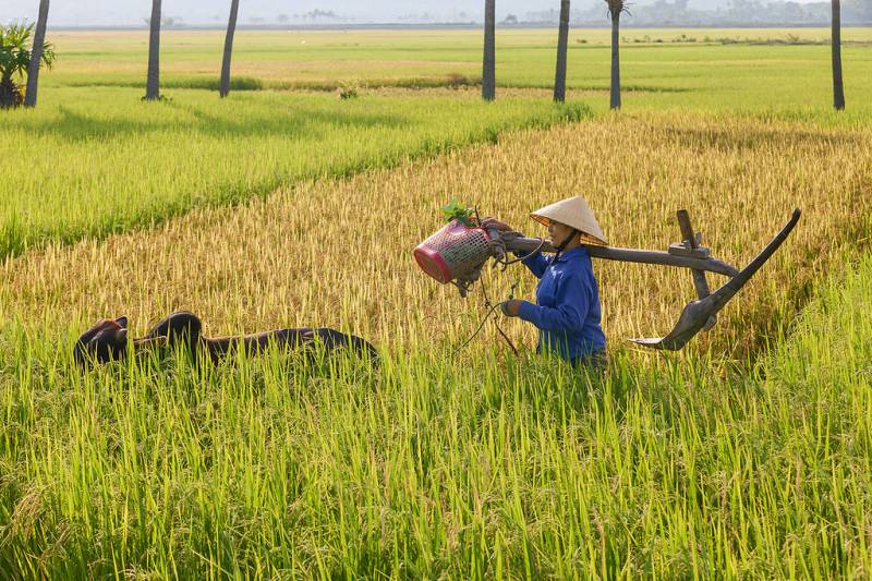 Hanoi Introduces New Routes to Explore Heritage Road