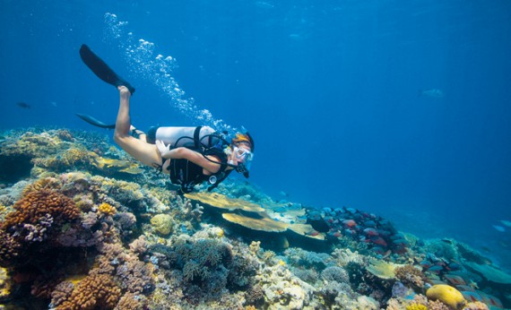 NHA TRANG ISLAND & SNORKELING