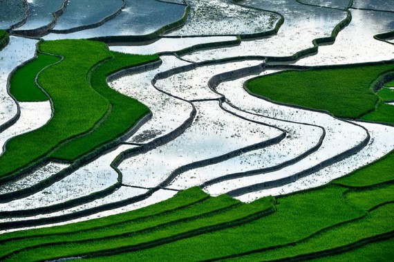 Mu Cang Chai Trekking