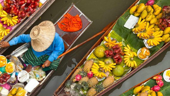 DISCOVER THE ESSENCE OF BANGKOK, CHIANG MAI AND THAILAND'S  NATURE WONDER