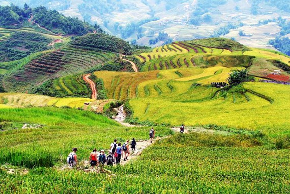 Sapa Trekking Tour