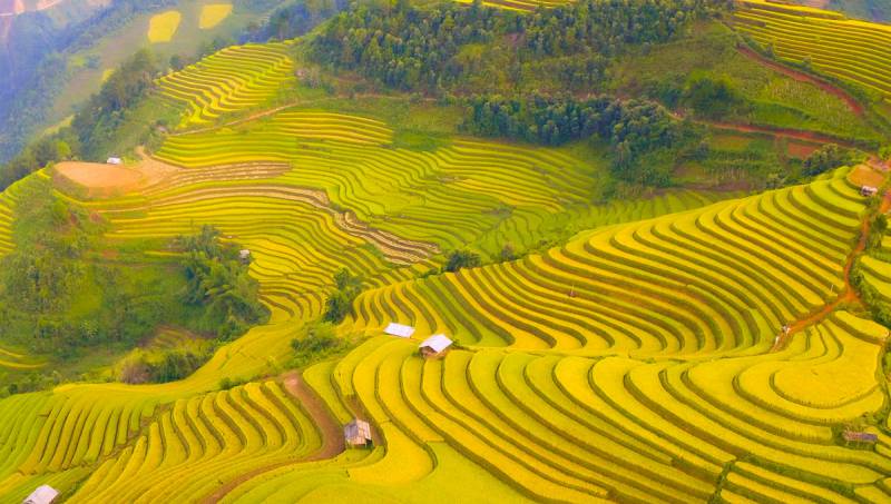 Sapa in the Autumn